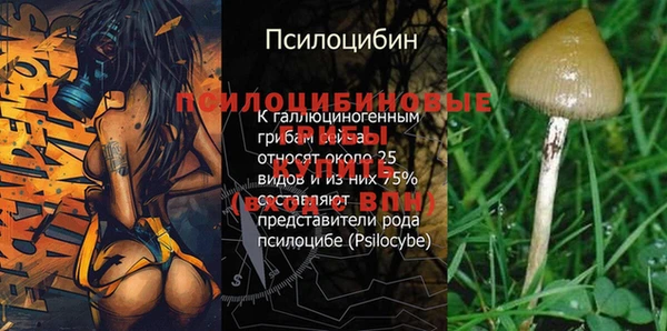 амф Балабаново