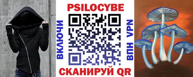 купить наркотик  Новый Уренгой  Псилоцибиновые грибы мицелий 